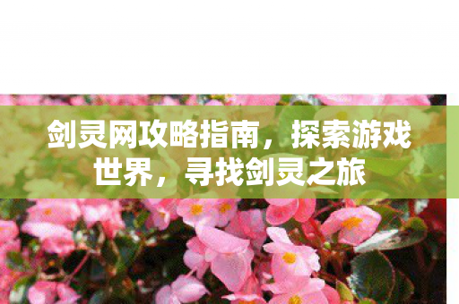 剑灵网攻略指南，探索游戏世界，寻找剑灵之旅