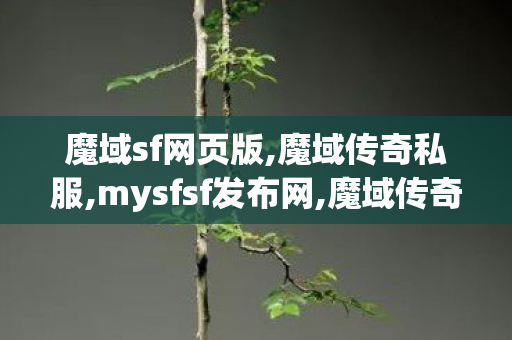 魔域sf网页版,魔域传奇私服,mysfsf发布网,魔域传奇私服