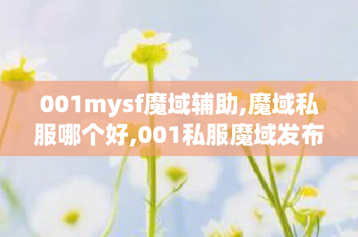001mysf魔域辅助,魔域私服哪个好,001私服魔域发布网,魔域私服哪个好