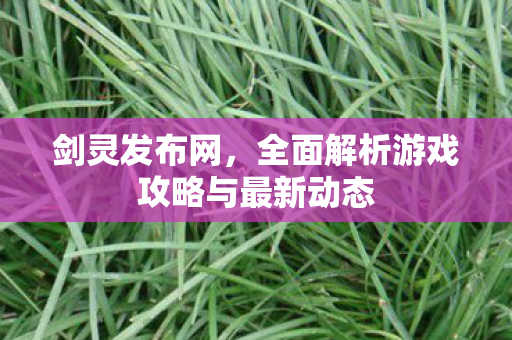 剑灵发布网，全面解析游戏攻略与最新动态