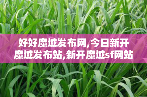 好好魔域发布网,今日新开魔域发布站,新开魔域sf网站,今日新开魔域发布站
