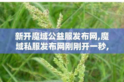 新开魔域公益服发布网,魔域私服发布网刚刚开一秒,001魔域sf发布网站,魔域私服发布网刚刚开一秒