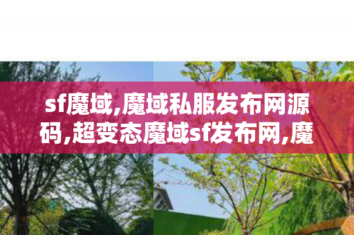 sf魔域,魔域私服发布网源码,超变态魔域sf发布网,魔域私服发布网源码