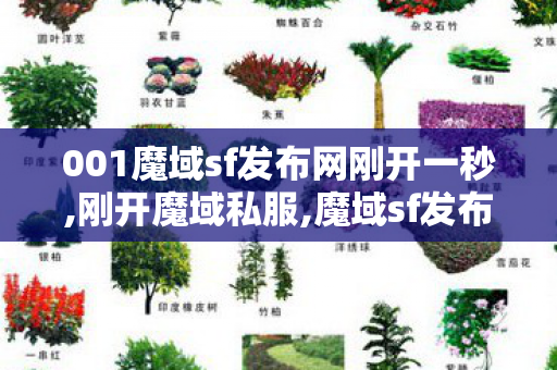 001魔域sf发布网刚开一秒,刚开魔域私服,魔域sf发布网,刚开魔域私服