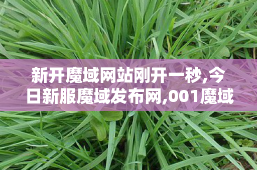 新开魔域网站刚开一秒,今日新服魔域发布网,001魔域发布网新开服,今日新服魔域发布网