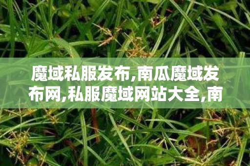 魔域私服发布,南瓜魔域发布网,私服魔域网站大全,南瓜魔域发布网