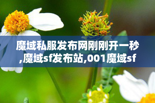 魔域私服发布网刚刚开一秒,魔域sf发布站,001魔域sf发布网站,魔域sf发布站