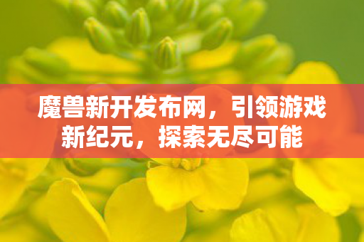 魔兽新开发布网，引领游戏新纪元，探索无尽可能