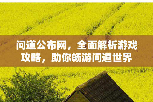 问道公布网，全面解析游戏攻略，助你畅游问道世界