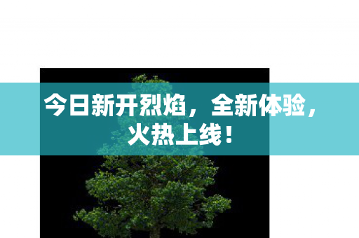 今日新开烈焰，全新体验，火热上线！