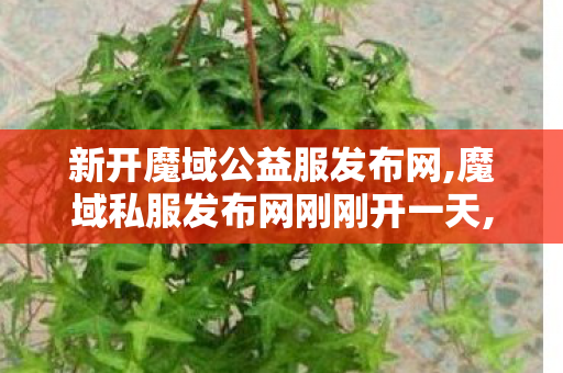 新开魔域公益服发布网,魔域私服发布网刚刚开一天,魔域私服发布网,魔域私服发布网刚刚开一天