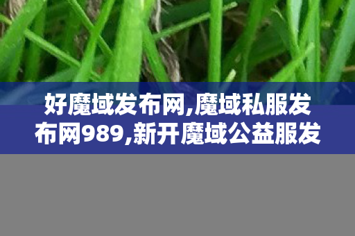 好魔域发布网,魔域私服发布网989,新开魔域公益服发布网,魔域私服发布网989