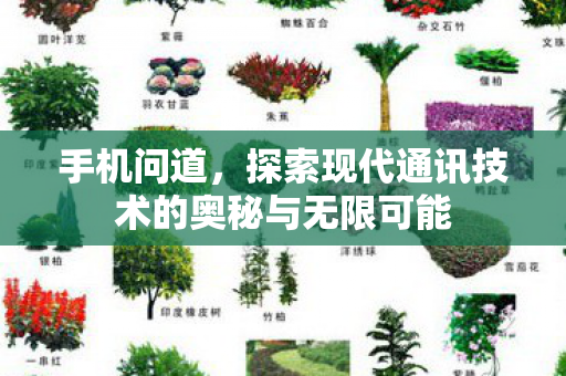 手机问道，探索现代通讯技术的奥秘与无限可能