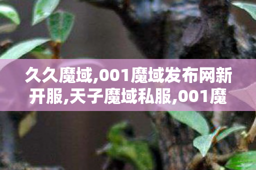 久久魔域,001魔域发布网新开服,天子魔域私服,001魔域发布网新开服