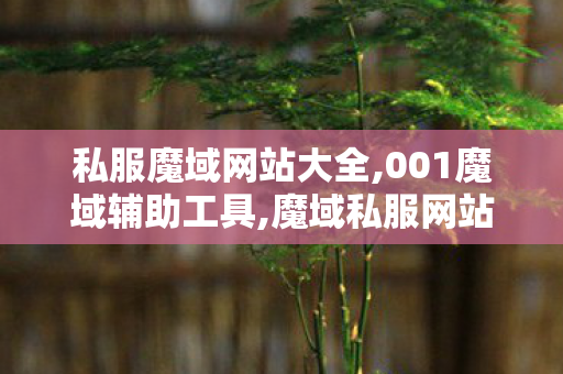 私服魔域网站大全,001魔域辅助工具,魔域私服网站下载,001魔域辅助工具