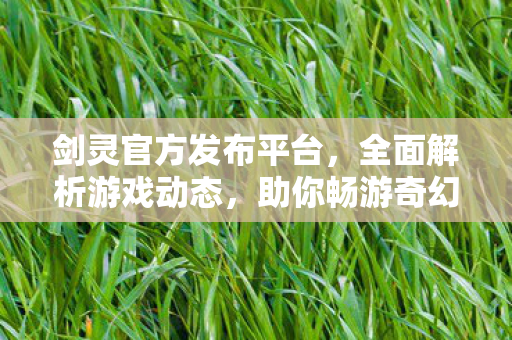 剑灵官方发布平台，全面解析游戏动态，助你畅游奇幻世界