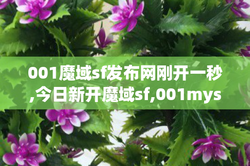 001魔域sf发布网刚开一秒,今日新开魔域sf,001mysf魔域发布网,今日新开魔域sf