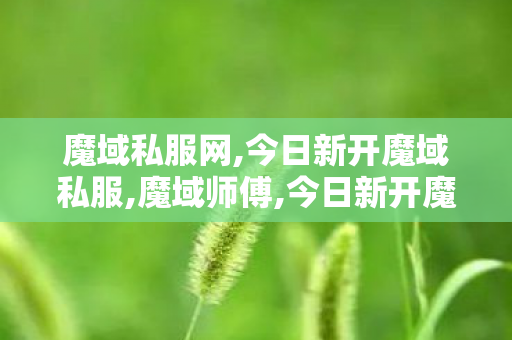 魔域私服网,今日新开魔域私服,魔域师傅,今日新开魔域私服