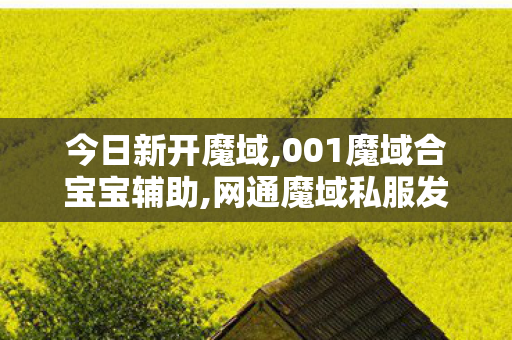 今日新开魔域,001魔域合宝宝辅助,网通魔域私服发布网,001魔域合宝宝辅助