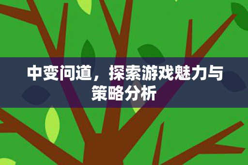 中变问道，探索游戏魅力与策略分析