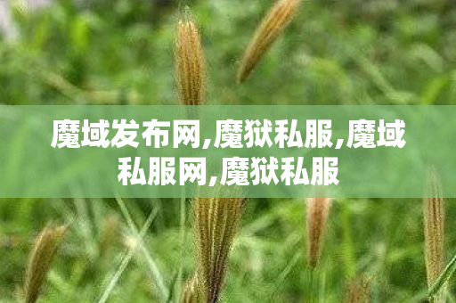 魔域发布网,魔狱私服,魔域私服网,魔狱私服