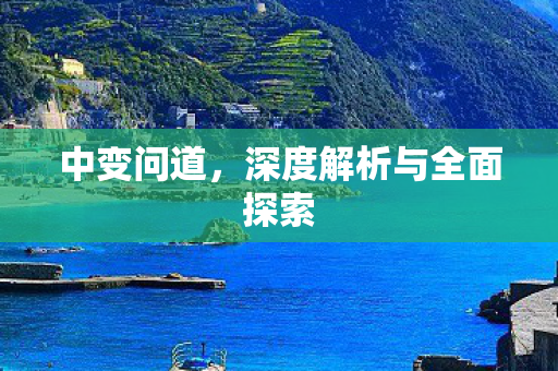 中变问道，深度解析与全面探索