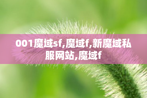 001魔域sf,魔域f,新魔域私服网站,魔域f