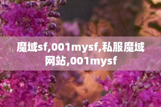 魔域sf,001mysf,私服魔域网站,001mysf