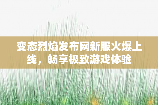 变态烈焰发布网新服火爆上线，畅享极致游戏体验
