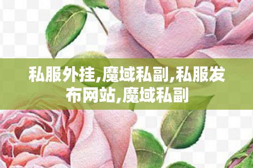 私服外挂,魔域私副,私服发布网站,魔域私副