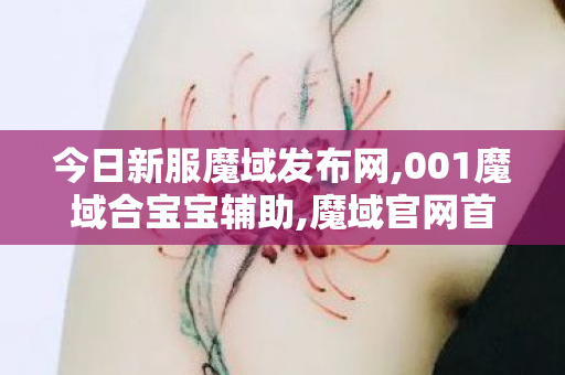 今日新服魔域发布网,001魔域合宝宝辅助,魔域官网首页,001魔域合宝宝辅助