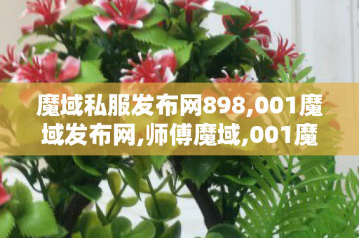 魔域私服发布网898,001魔域发布网,师傅魔域,001魔域发布网