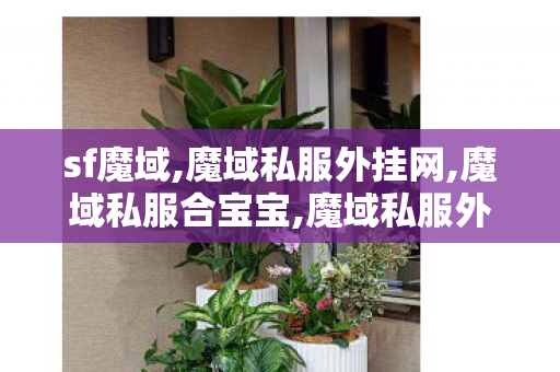 sf魔域,魔域私服外挂网,魔域私服合宝宝,魔域私服外挂网