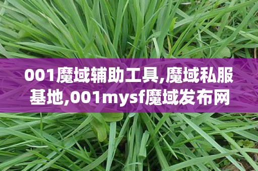 001魔域辅助工具,魔域私服基地,001mysf魔域发布网新开服,魔域私服基地