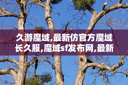久游魔域,最新仿官方魔域长久服,魔域sf发布网,最新仿官方魔域长久服