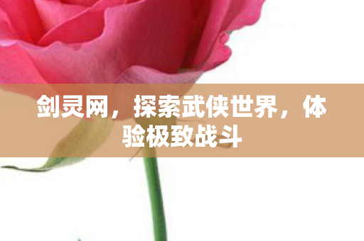剑灵网，探索武侠世界，体验极致战斗