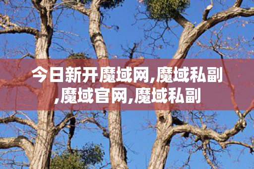 今日新开魔域网,魔域私副,魔域官网,魔域私副