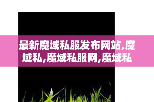 最新魔域私服发布网站,魔域私,魔域私服网,魔域私