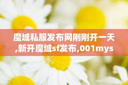 魔域私服发布网刚刚开一天,新开魔域sf发布,001mysf魔域发布网新开服,新开魔域sf发布