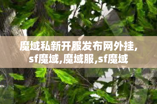 魔域私新开服发布网外挂,sf魔域,魔域服,sf魔域