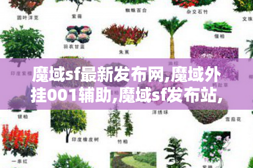 魔域sf最新发布网,魔域外挂001辅助,魔域sf发布站,魔域外挂001辅助