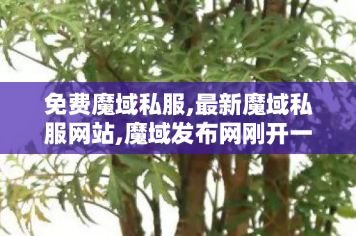 免费魔域私服,最新魔域私服网站,魔域发布网刚开一秒,最新魔域私服网站