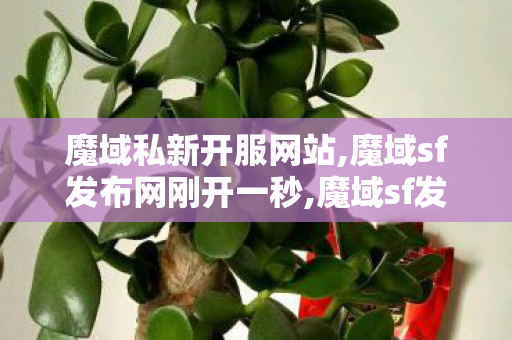 魔域私新开服网站,魔域sf发布网刚开一秒,魔域sf发布,魔域sf发布网刚开一秒