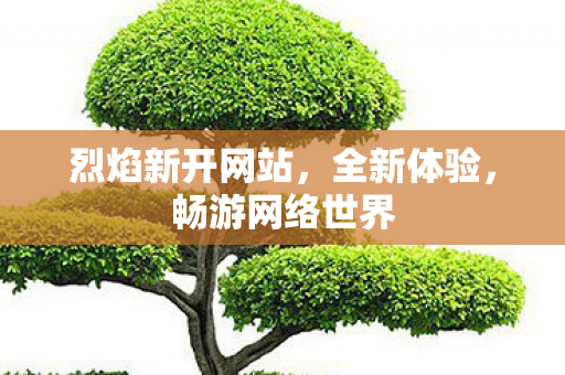 烈焰新开网站，全新体验，畅游网络世界