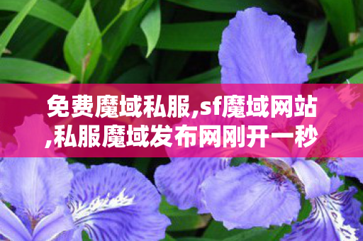 免费魔域私服,sf魔域网站,私服魔域发布网刚开一秒,sf魔域网站