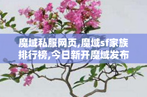 魔域私服网页,魔域sf家族排行榜,今日新开魔域发布站,魔域sf家族排行榜