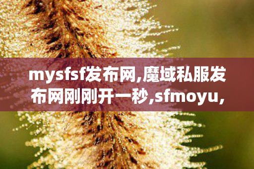 mysfsf发布网,魔域私服发布网刚刚开一秒,sfmoyu,魔域私服发布网刚刚开一秒