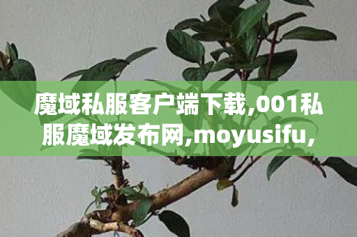 魔域私服客户端下载,001私服魔域发布网,moyusifu,001私服魔域发布网