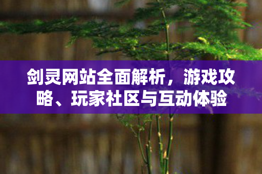 剑灵网站全面解析，游戏攻略、玩家社区与互动体验