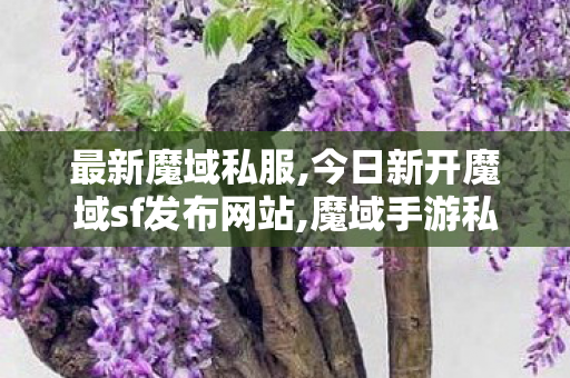最新魔域私服,今日新开魔域sf发布网站,魔域手游私新开服,今日新开魔域sf发布网站